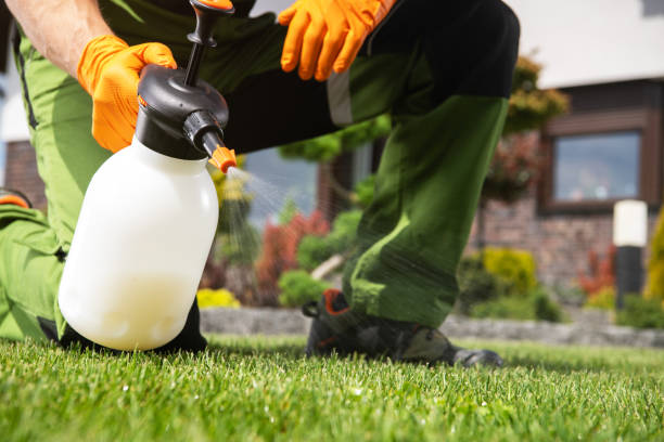 Best Pest Control Near Me in Clintonville, WI