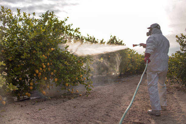 Best Affordable Pest Control Services  in Clintonville, WI
