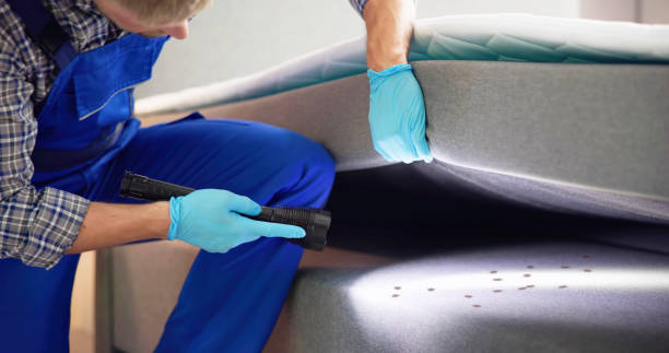 Best Mosquito Control Services  in Clintonville, WI