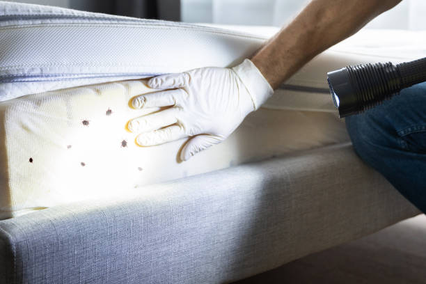 Best Emergency Pest Control  in Clintonville, WI