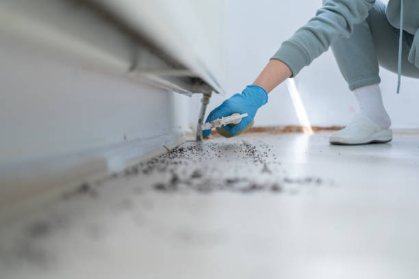 Best Pest Control Treatment  in Clintonville, WI